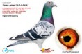 /album/infoholubi/nl09-1033387-jpg1/