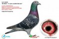 /album/infoholubi/nl07-1686909-jpg1/