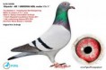 /album/infoholubi/nl08-1543626-jpg1/